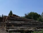 Bois rond de hêtre, de chêne et de charme – chargement de camion de 20 mètres cubes – Image 3