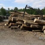 Bois rond de hêtre, de chêne et de charme – chargement de camion de 20 mètres cubes